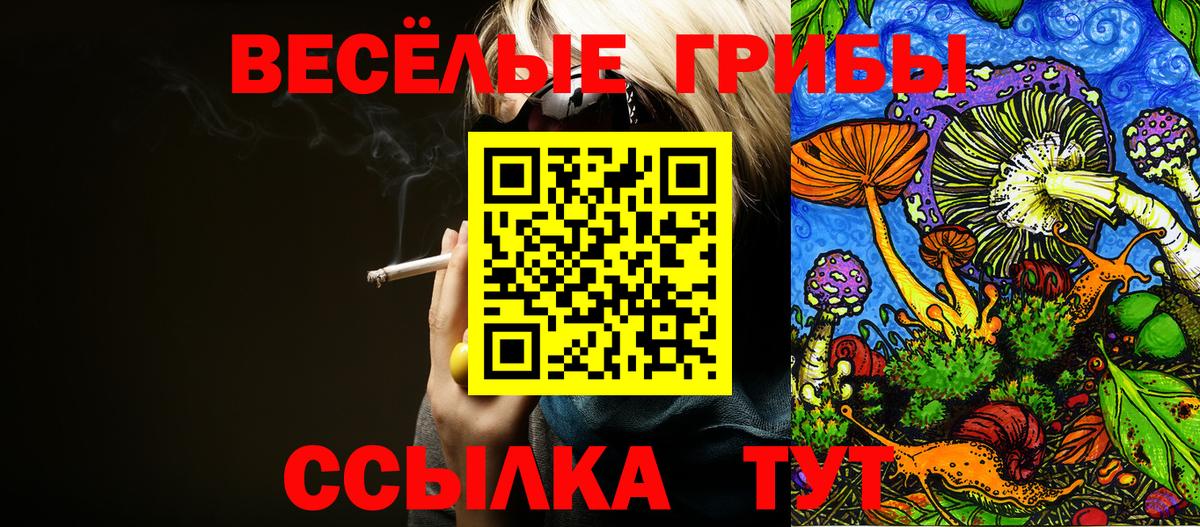 Кинель  Галлюциногенные грибы Psilocybine cubensis  Вход с VPN  Галлюциногенные грибы Psilocybine cubensis 